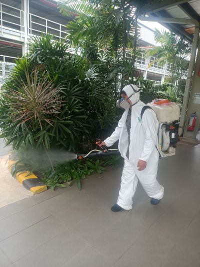 Dịch vụ diệt muỗi